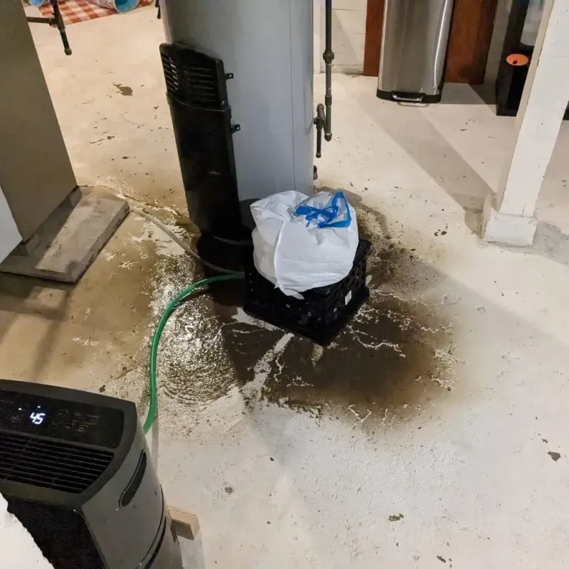 Sewage Backup Cleanup Service in Pacifica, CA